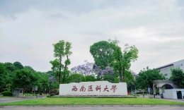 西南醫(yī)科大學(xué)2023年公共管理碩士（MPA）招生簡(jiǎn)介